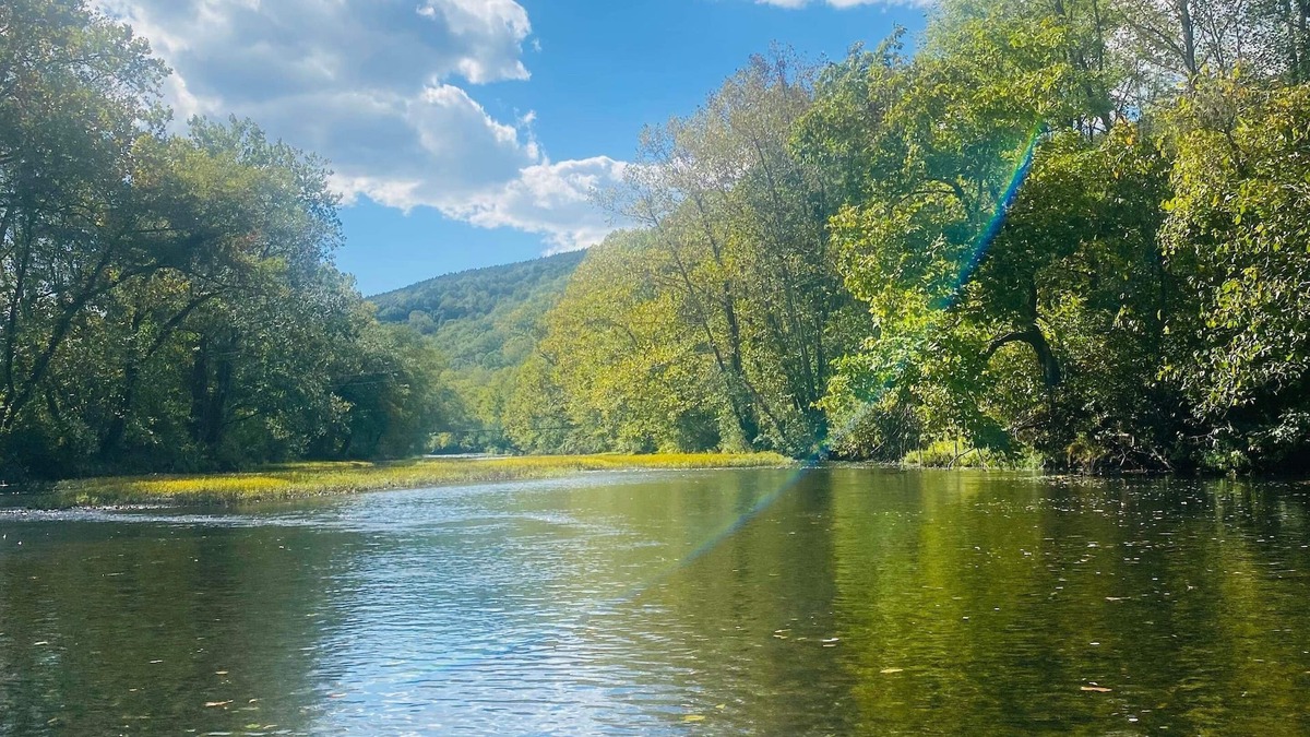 Eagle Rock Cabin | Private Waterfront Retreat on Craig's Creek