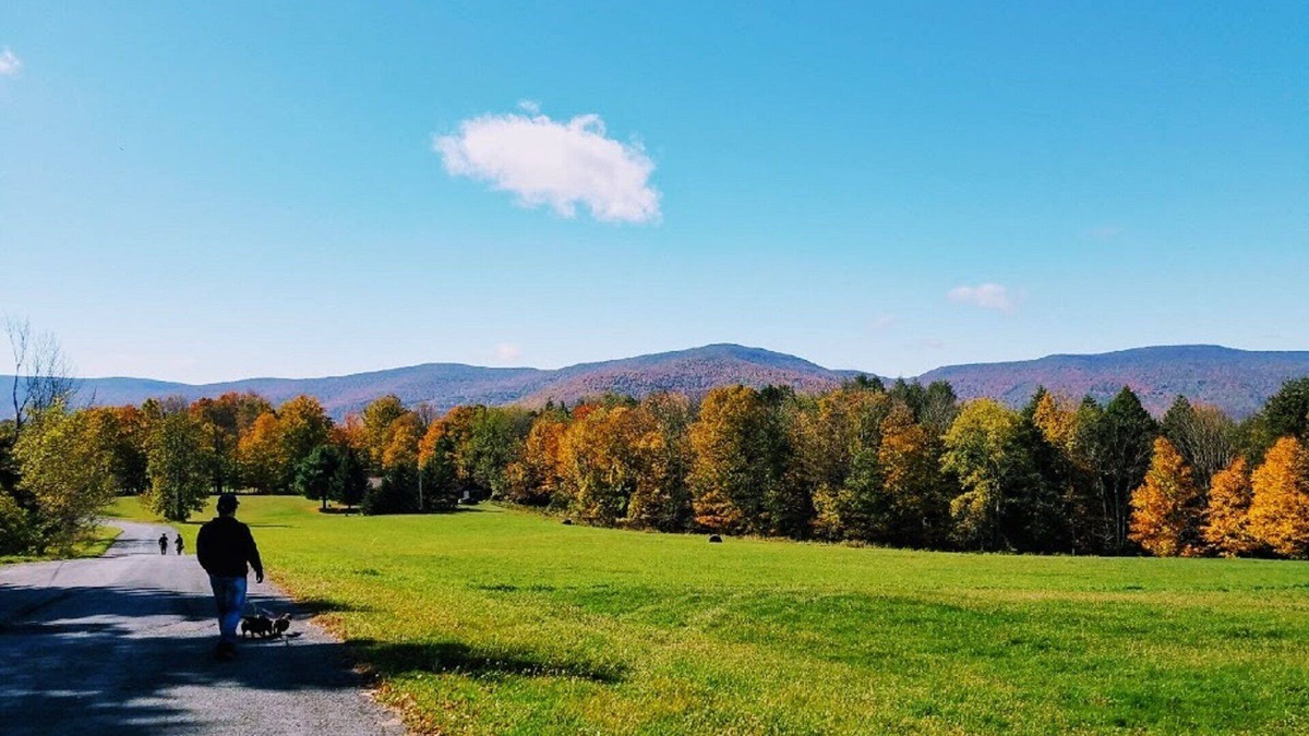 Prattsville House | Private Waterfront on 6 Acres w/Swimming. Boats.Hot Tub.Fire Pit.Views. Hiking.