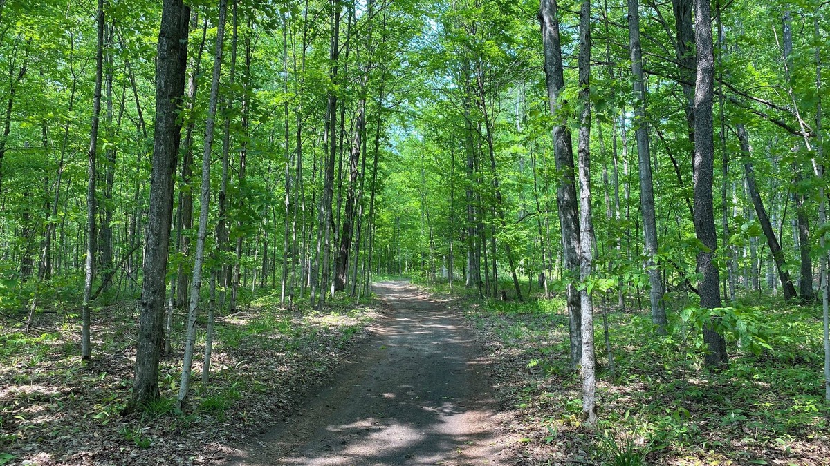 Benzonia RV Rental | Private Wooded Campsite for Tents or Small RV's #4