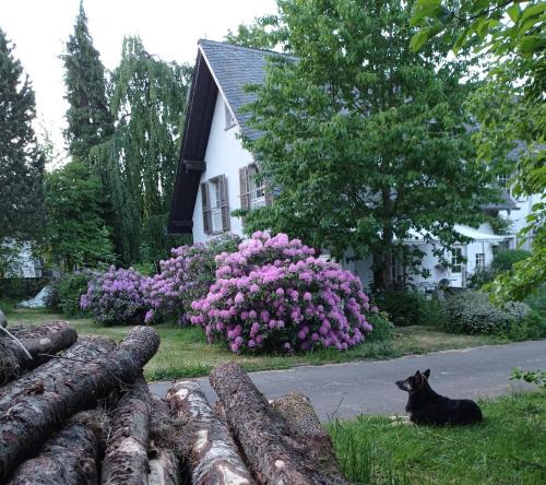 Reckershausen House | Privatzimmer im Landhaus mit großem Garten und Parkplatz