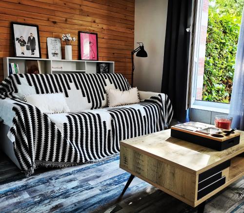 Saint-Pierre - Rene II - Bonsecours Apartment | Proche de Nancy centre, appart cinéma rénové avec parking gratuit