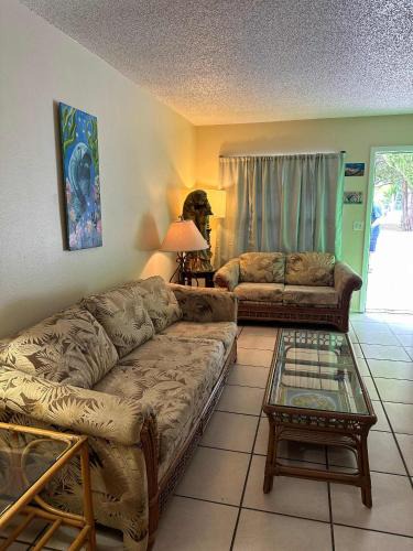 Crystal River Apartment | Professor Rousseau's Manatee Bay