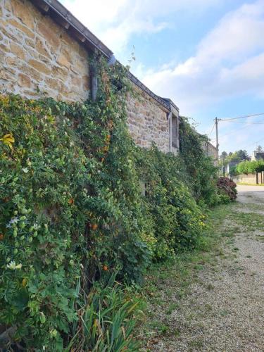Theix-Noyalo House | Propriete d'une chambre avec piscine partagee et terrasse a Theix a 9 km de la plage