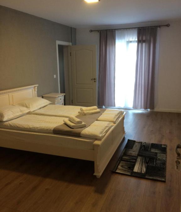 Viseu de Jos House | Provincial