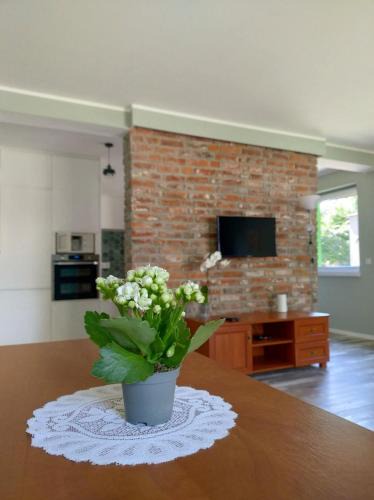 Opole Apartment | Przytulne i ciepłe mieszkanie w spokojnej dzielnicy Opola