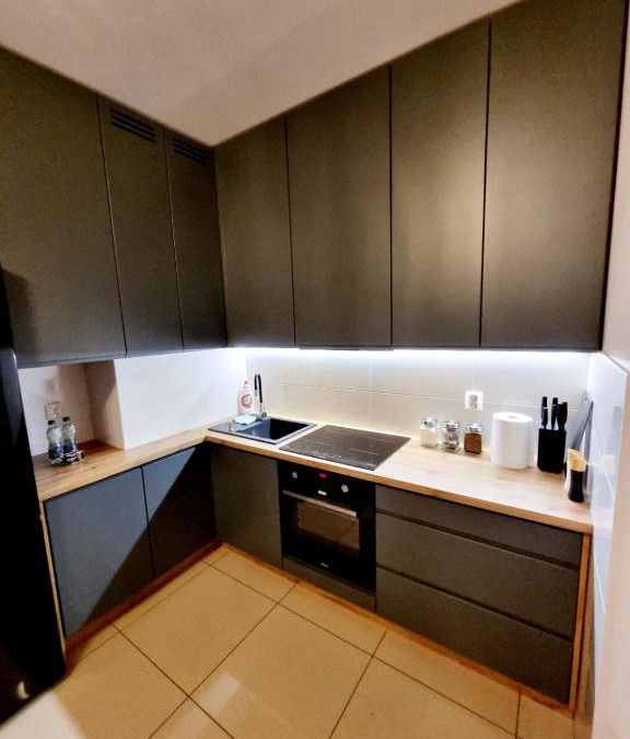 Torun Apartment | Przytulny na Winnicy z widokiem na Wisłę
