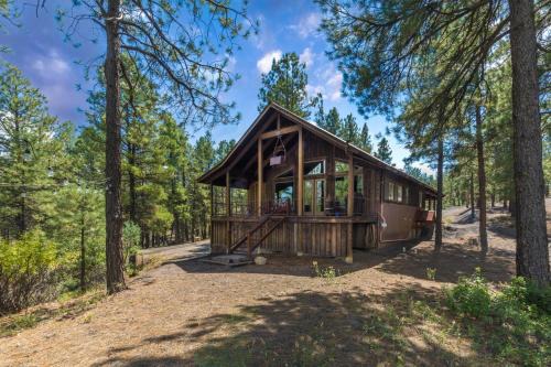 Pagosa Springs House | PS - Crestview Cabin