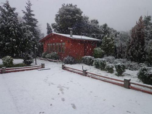 Antuco Cabin | Puelche de Antuco