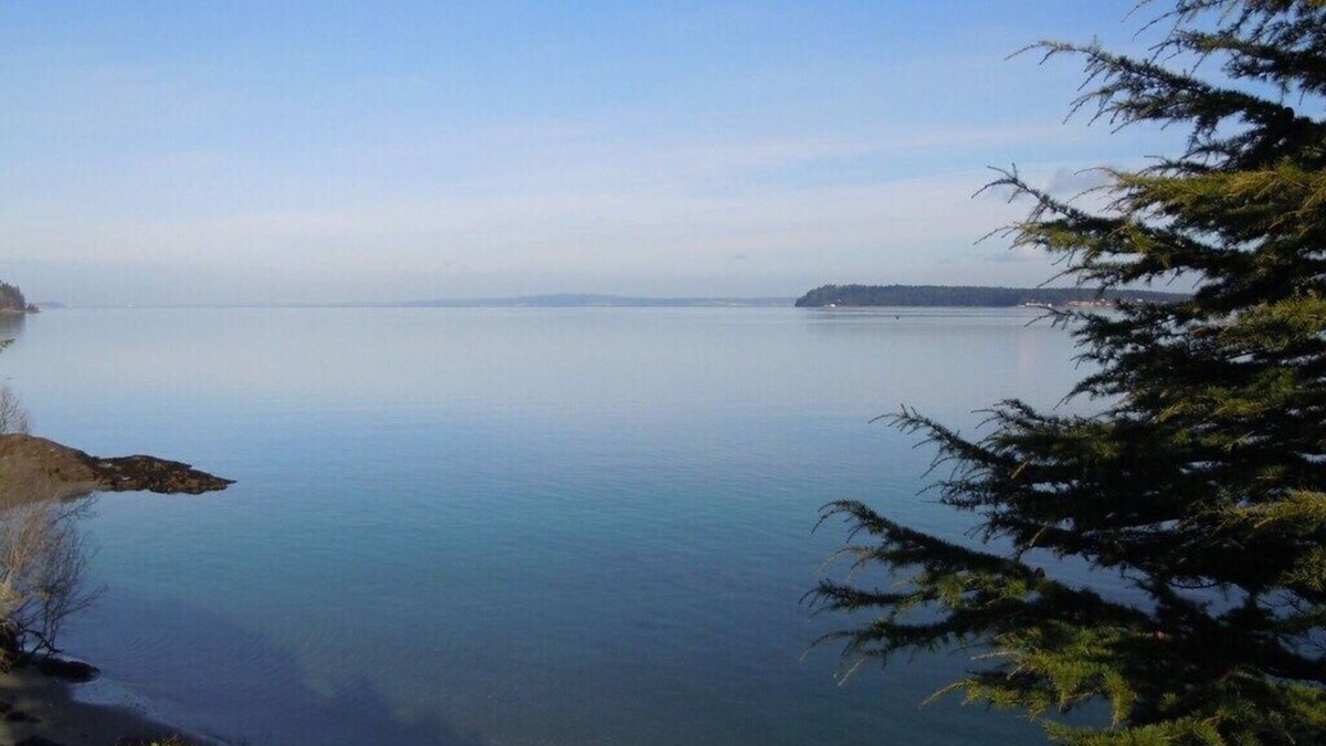 Port Ludlow House | Puget Sound - Hood Canal Water Front Home With Incredible Views