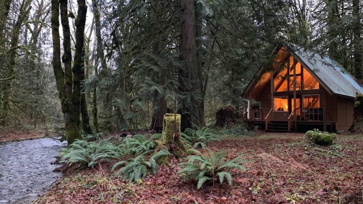Maple Falls Cabin | Pull out and relax in the Retro Cabin
