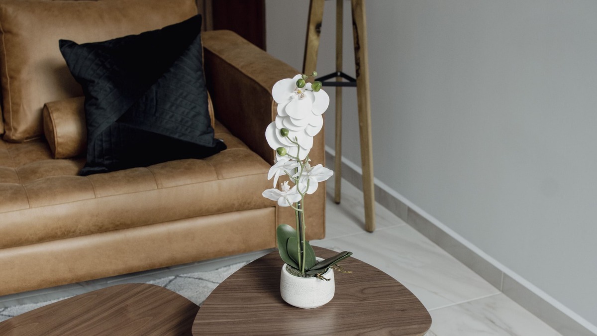 Coyoacan Apartment | Punto Lofts Periférico Sur