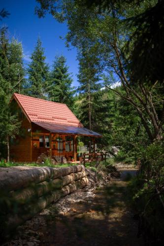 Belis House | Pura Vida Forest Home