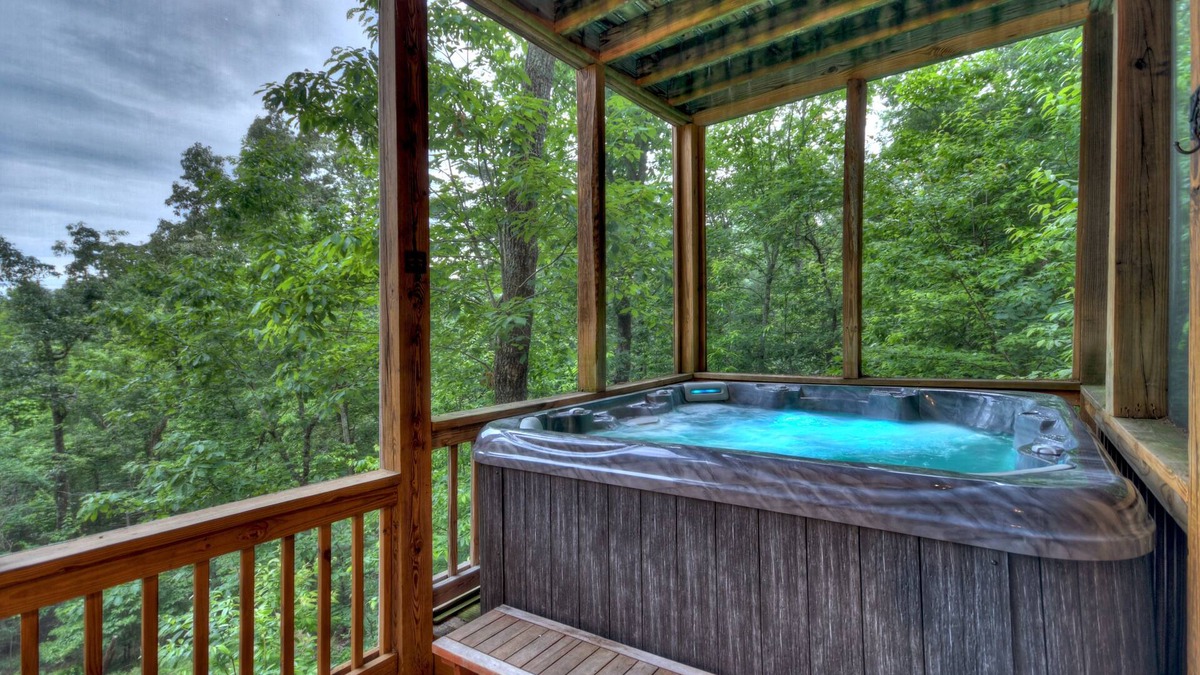 Mineral Bluff Cabin | Pursuit of Happiness - Mountain luxury, hot tub, big-screen TVs, pet-friendly