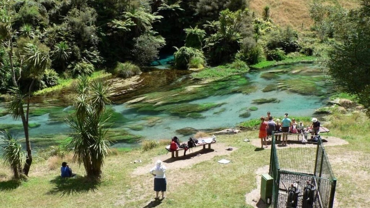 Putaruru Hotel | Putaruru Arms Motor Inn