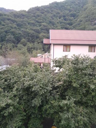 Qakh House | Qax Ağçayda EVLƏR