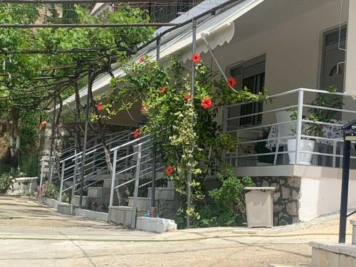 Qeparo Apartment | Qeparo View Rooms