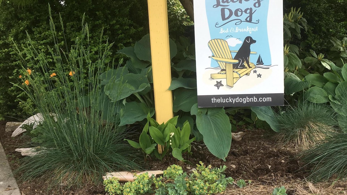 Gibsons House | Quaint, Charming and Quiet. Ocean views from front yard , Dog Friendly.
