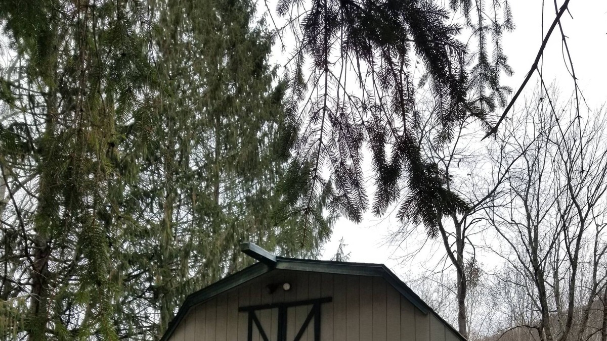 Waterville Cottage | Quaint cottage close to rail trail and next to Pine Creek.