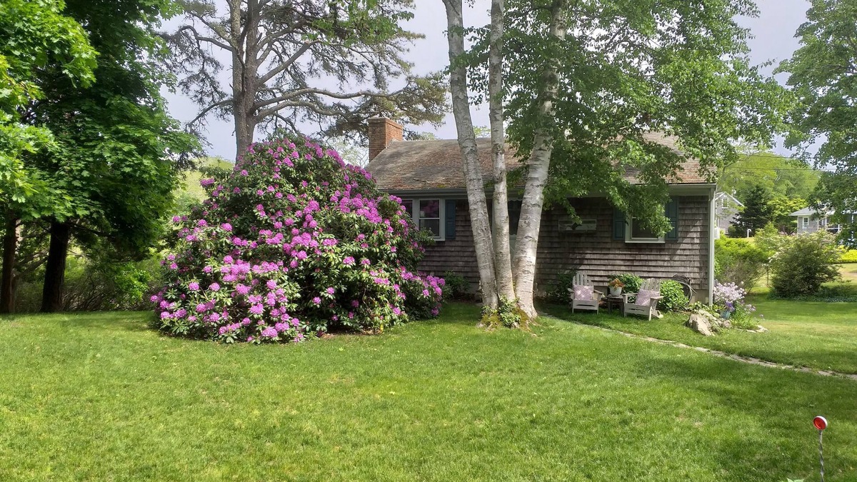 East Orleans House | Quaint Cottage in Desirable East Orleans