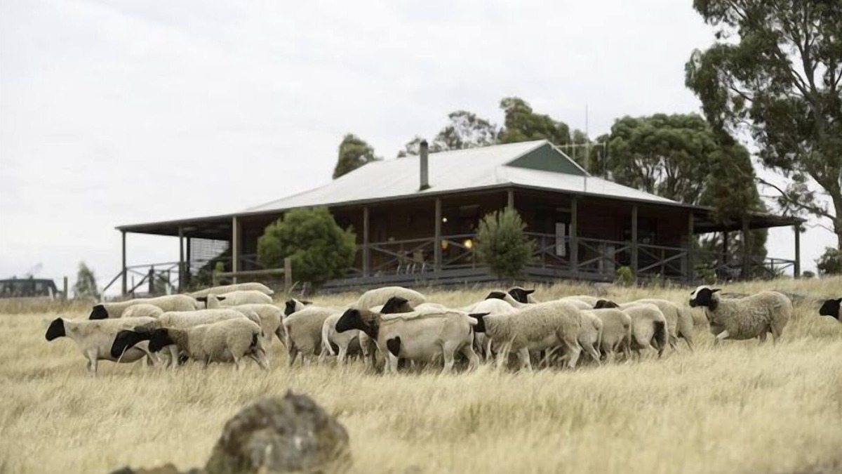Eppalock Other | Quaint Cottage on Country Victorian Farm, Overlooking Beautiful Vineyard