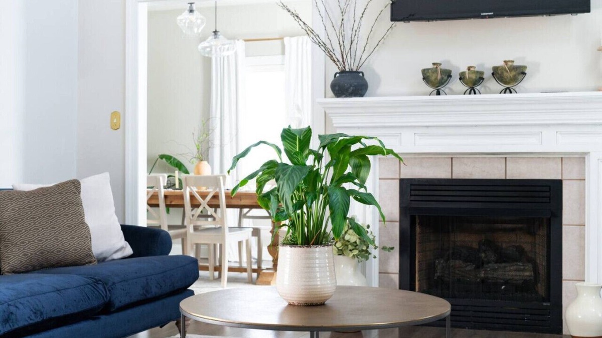 Lynchburg House | Quaint & Cozy | 10 min. to LU | The Wyndsong