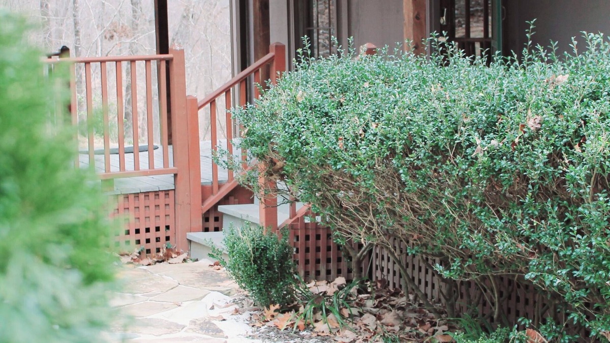 Toccoa Cottage | Quaint Secluded 3BR/2BA Cottage w/Fire Pit