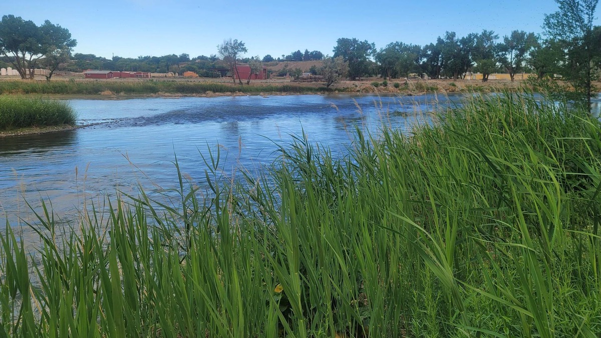 Delta Apartment | Quaint Unit Next to the Gunnison River! Perfect for Fishing & Exploring Outdoors