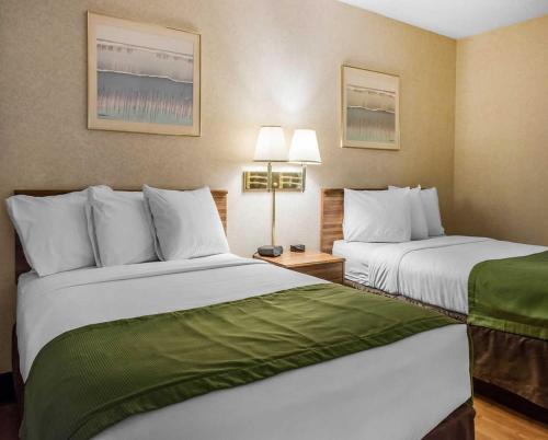 Wilkes-Barre Hotel | Quality Inn Arena