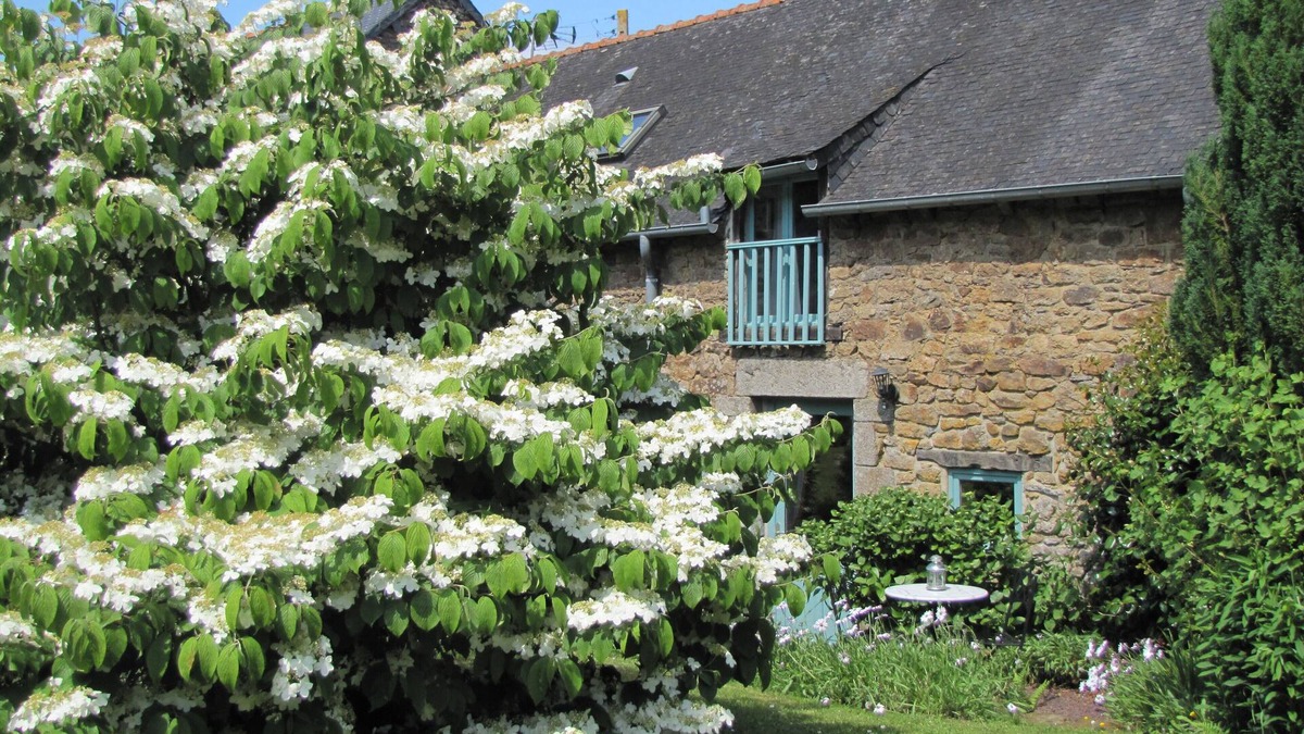 Gomene Cottage | Quality Traditional Gite for 2 in Gomene central Brittany - HEATED pool & WIFI
