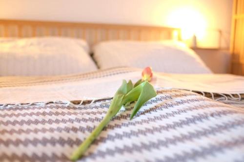 Guessing Apartment | Quartier Romantikum