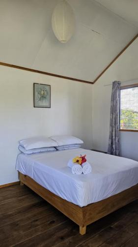 Pacific Harbour Apartment | Queens Inn Studio Apartments