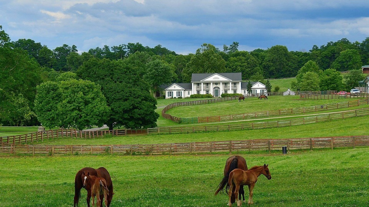 Georgetown House | Queenslake Mansion and Horse Farm