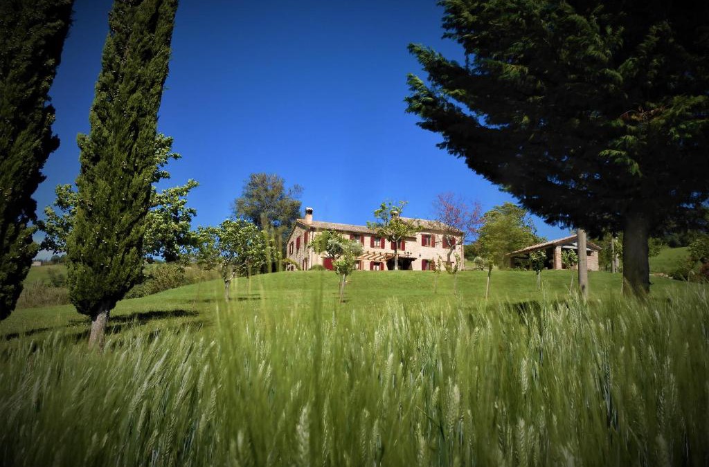 Cupramontana Bed & Breakfast | Quelli del Picchio
