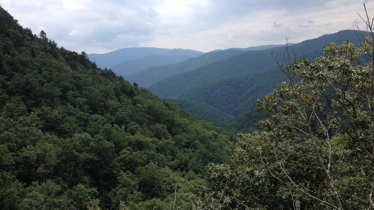 Staunton House | Quickly's Retreat - A Home Away from Home