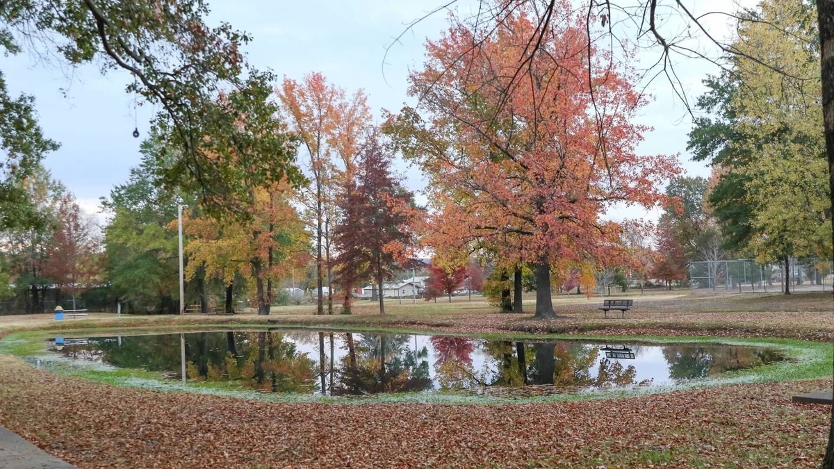 Clarksville House | Quiet, 4-bed home with a park view.