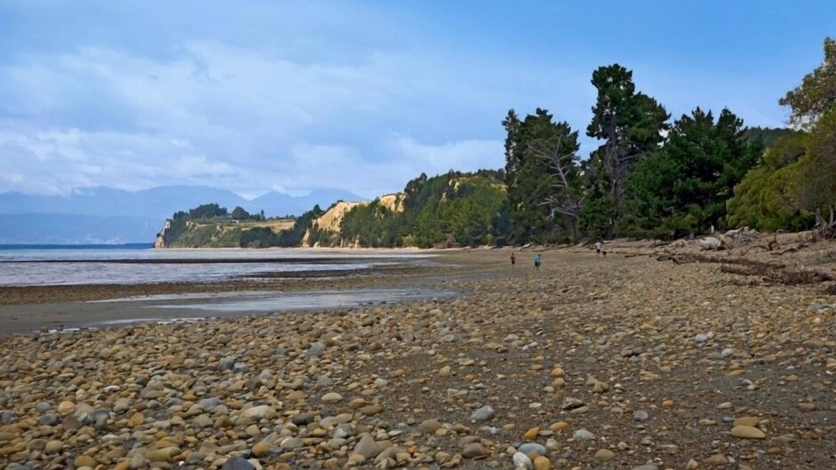 Tasman House | Quiet and Cozy Cottage just a stone's throw from Kina Beach!