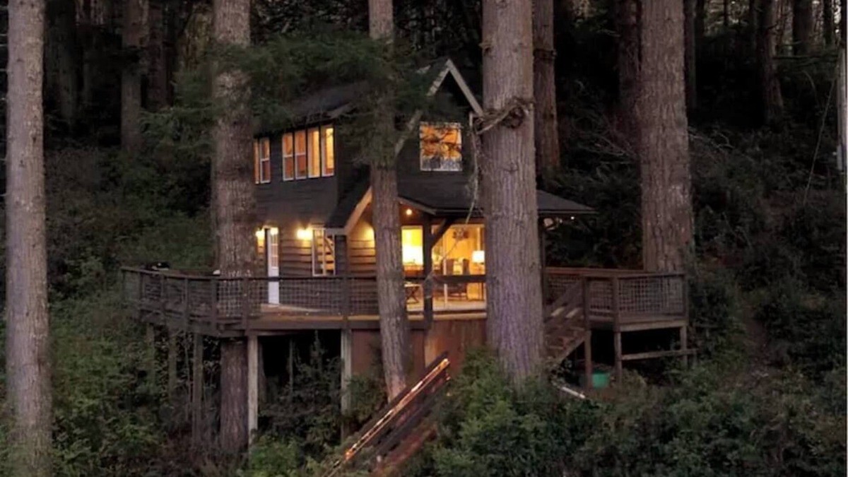 Lakeside Cabin | Quiet and Serene Cabin in the Tree's