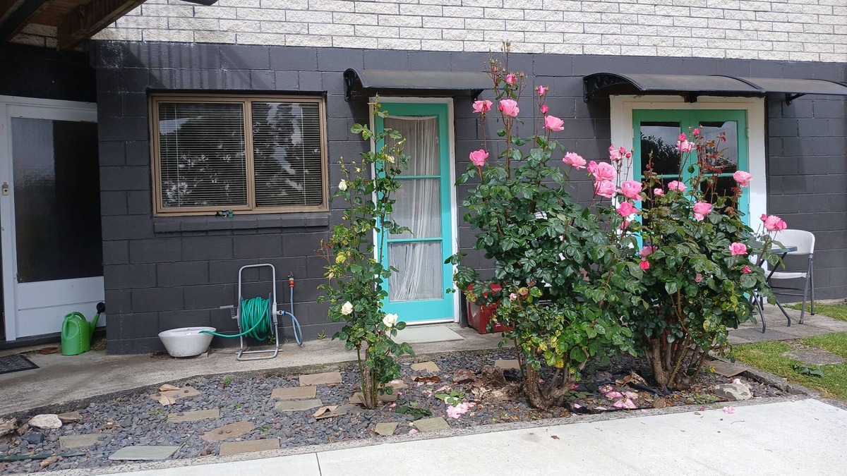 Putaruru Apartment | Quiet apartment with WiFi, parking, kitchen & bathroom in charming Putāruru -