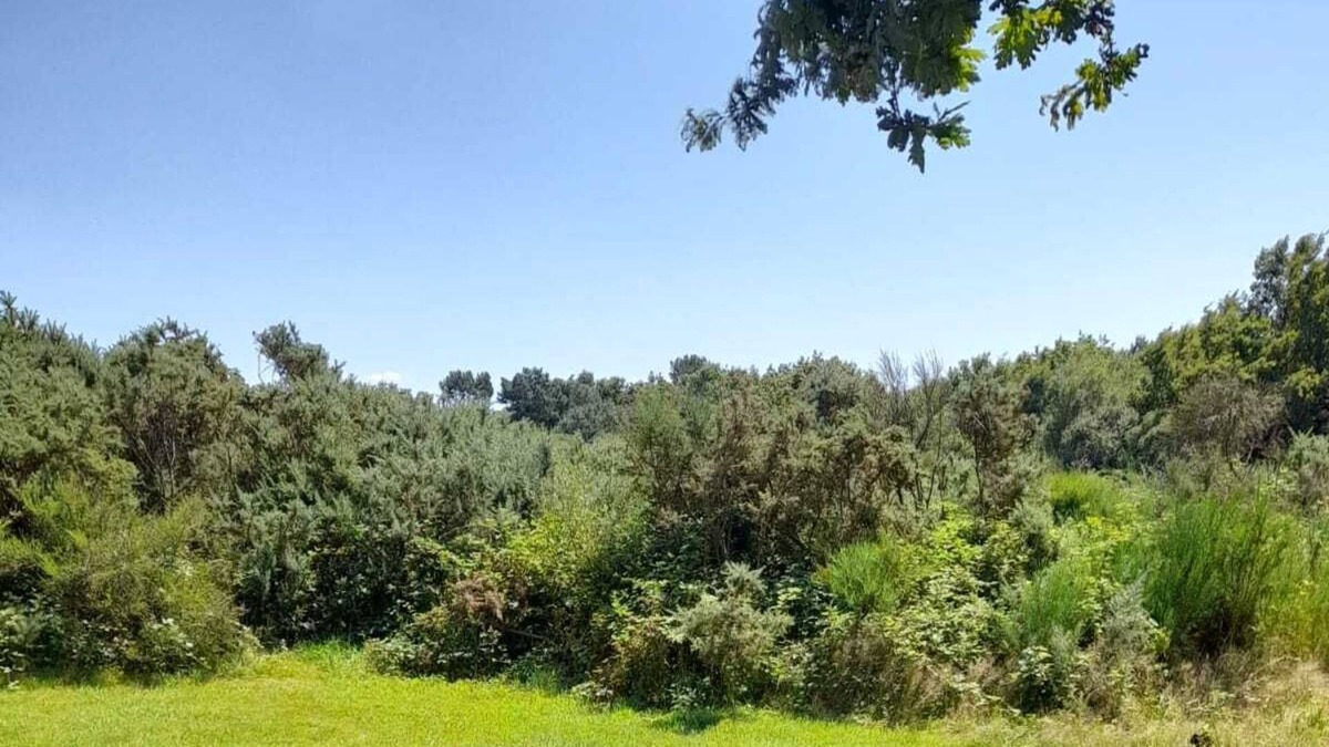 Sulniac Ski Chalet | Quiet chalet near the Gulf of Morbihan