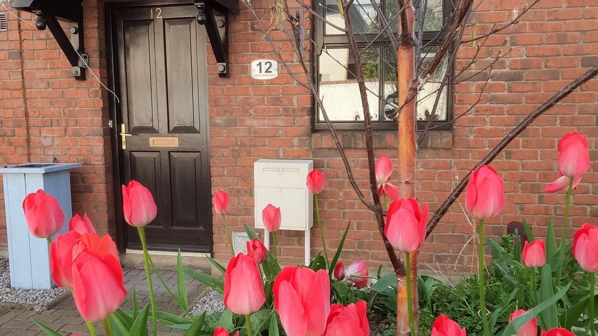 The Liberties House | Quiet City Townhouse within 5 mins of all attractions