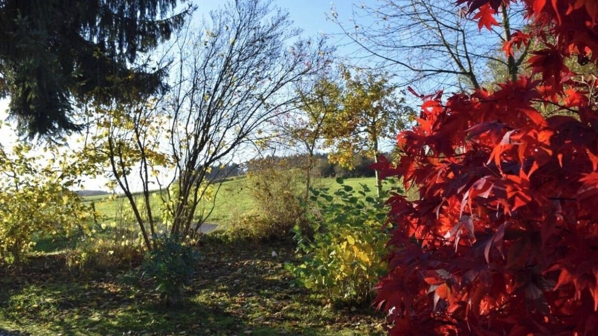 Rederscheid Apartment | Quiet & cosy Apartment - country side in Niedersteinebach