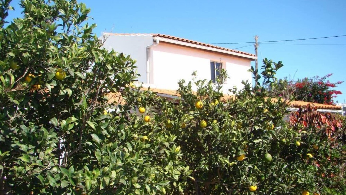 Granadilla de Abona Cottage | Quiet cottage in the middle of an orchard
