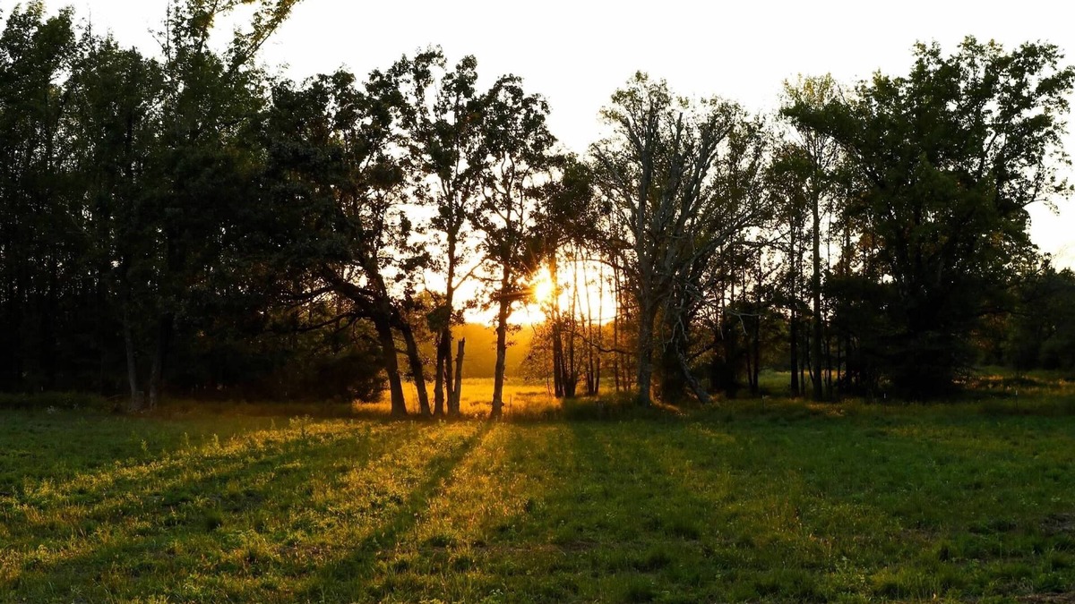 Clarksville House | Quiet country home on a homestead farm