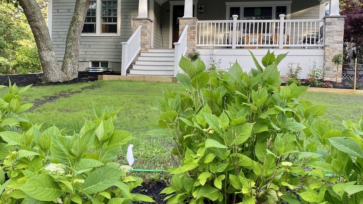 East Harwich House | Quiet Cul-de-Sac, Beach & Rail Trail Minutes Away