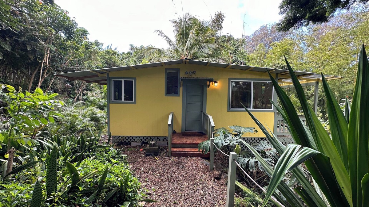 Hawi Apartment | Quiet eco-friendly studio nestled in Bamboo grove minutes from Hawi town