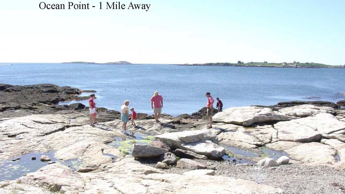 East Boothbay Cottage | Quiet family and pet friendly home