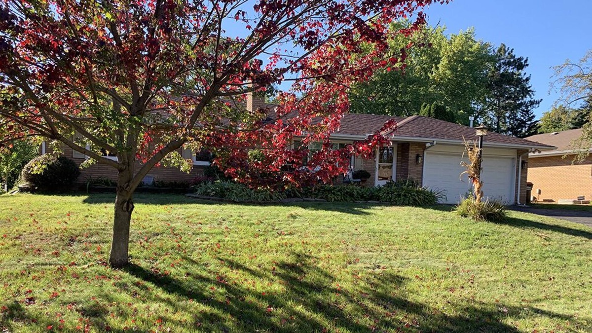 Maplewood House | Quiet Home near paths and parks