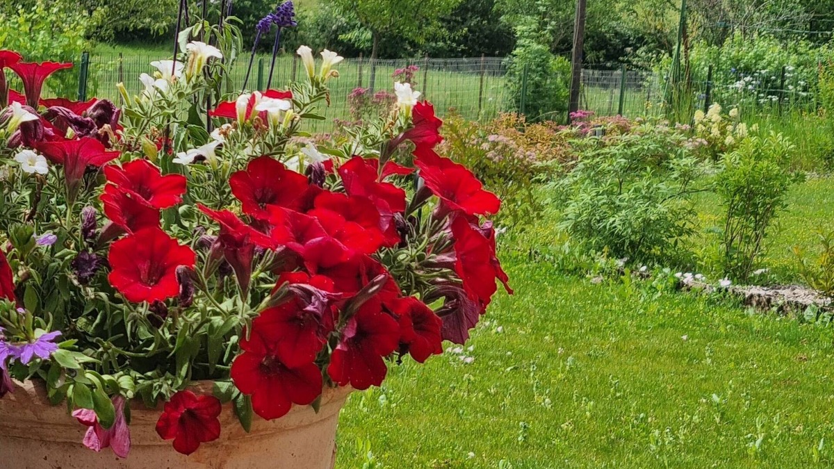Menessaire House | Quiet house in the Morvan with beautiful view of the Château de Ménessaire.