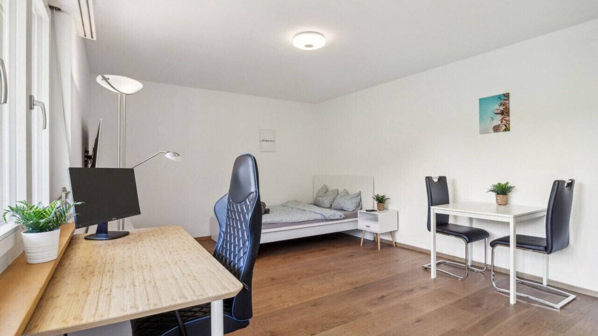 Schaffhausen Apartment | Quiet Location Workplace Coffee Parking Washer
