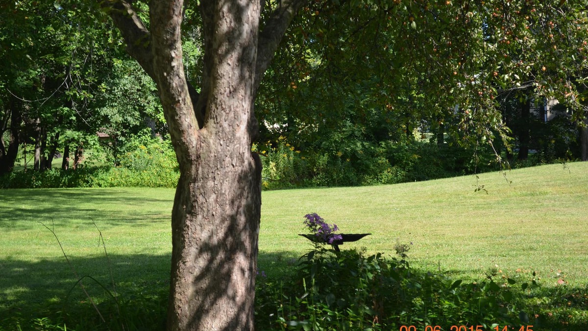 South Deerfield Apartment | Quiet Neighborhood, For Bird Lovers